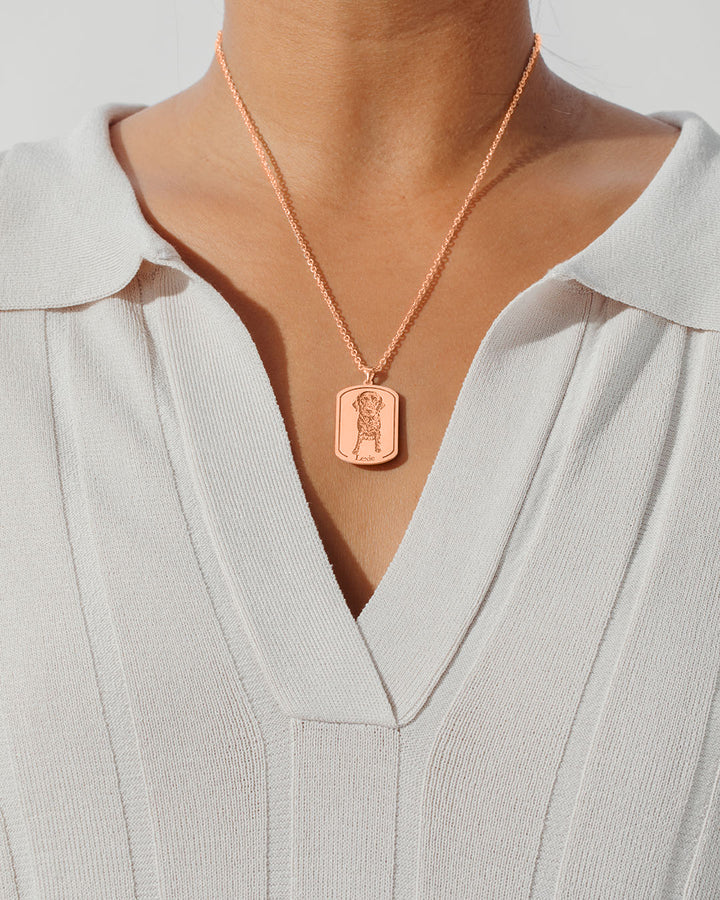 Collar Placa