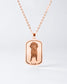 Collar Placa - Dog